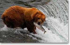 Photo of Katmai National Park, Alaska