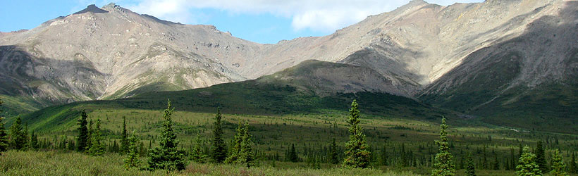 Alaskan Wilderness