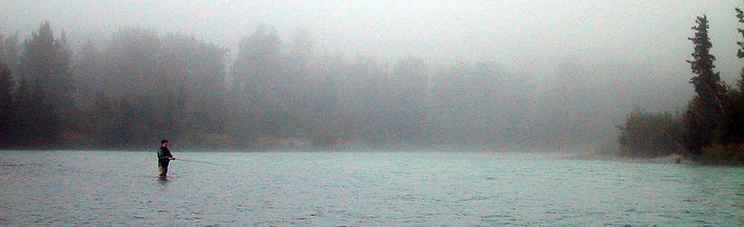 Fishing Haven