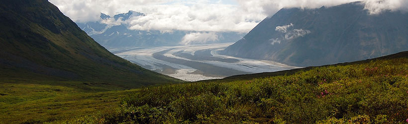 Untouched Landscape