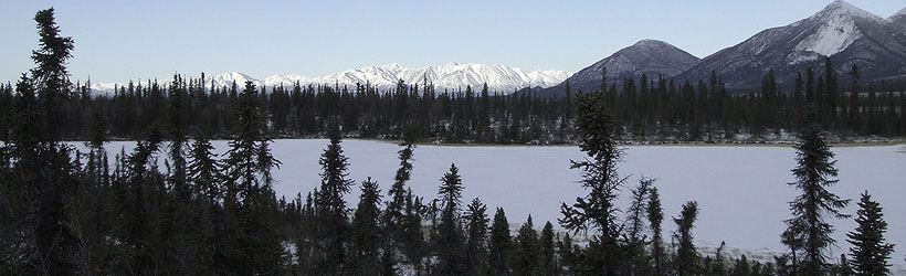 Quiet Desolation