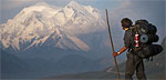Denali National Park