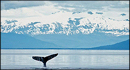 Expedition Trips - Alaska Cruises and Tours