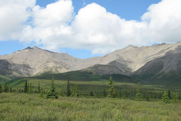 Alaskan Wilderness